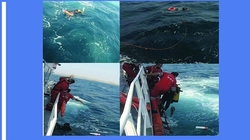 نجات جان ۱۰ غواص در آب های مواج جزیره لارک