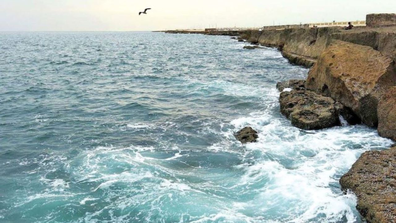اطلس زیستگاه‌های حساس ساحلی دریای خزر تهیه می‌شود