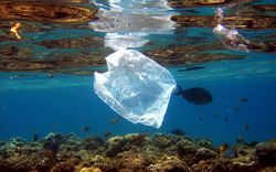 آغاز اجرای پروژه کاهش ریزش زباله‌های پلاستیکی به دریا