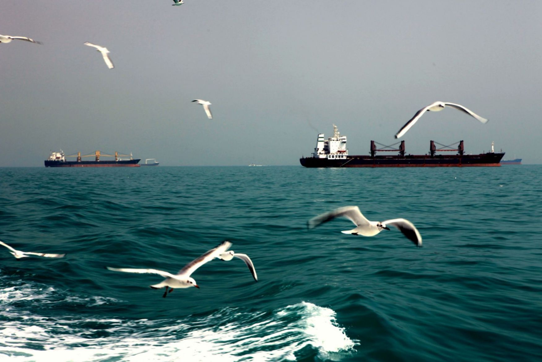 بار کل آلودگی خورموسی در خلیج فارس کنترل می‌شود