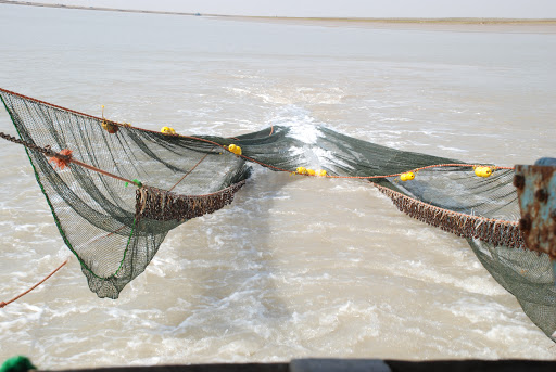 صید در آب‌های خوزستان ممنوع نیست