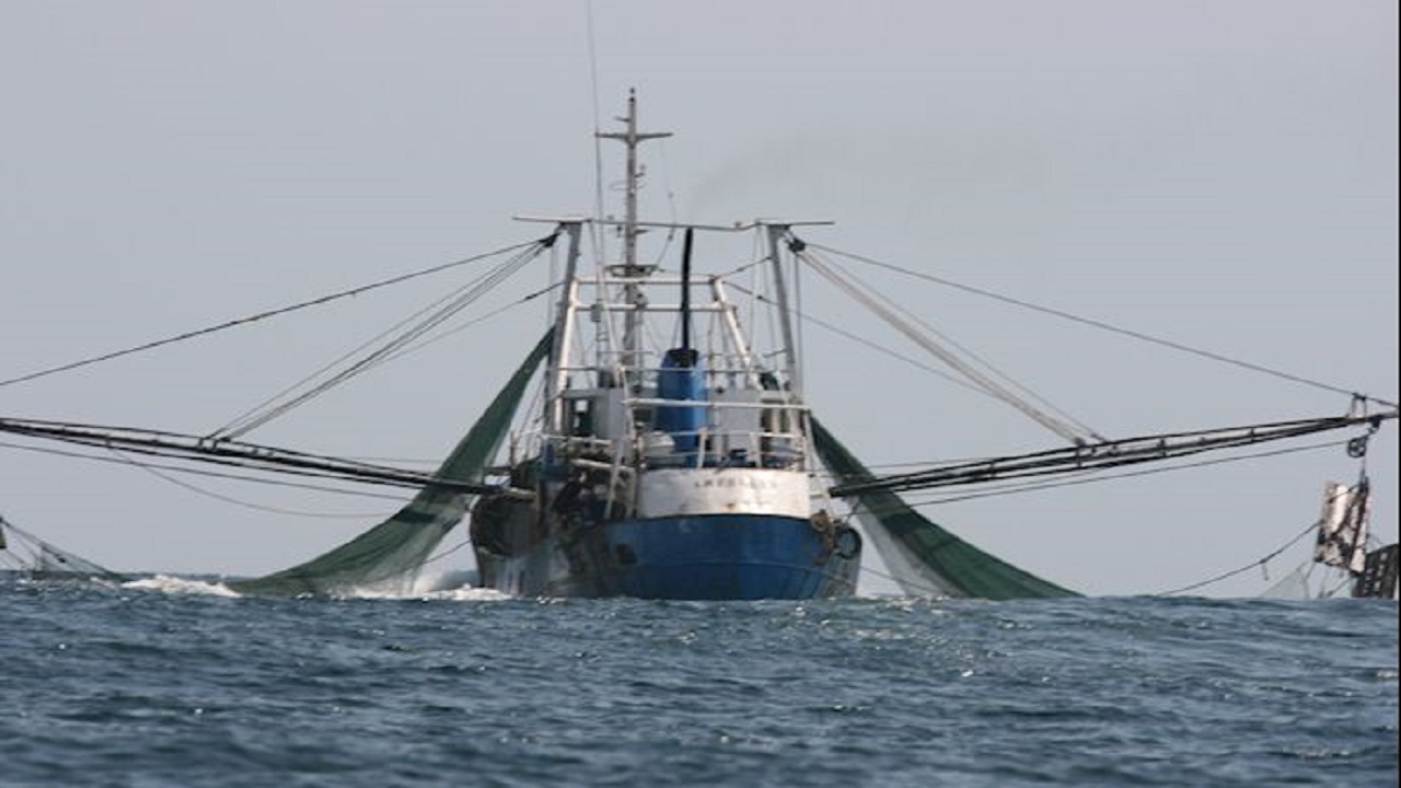 توقیف یک فروند کشتی صیادی «ترال» با ۳۲ تُن ماهی در «جاسک»