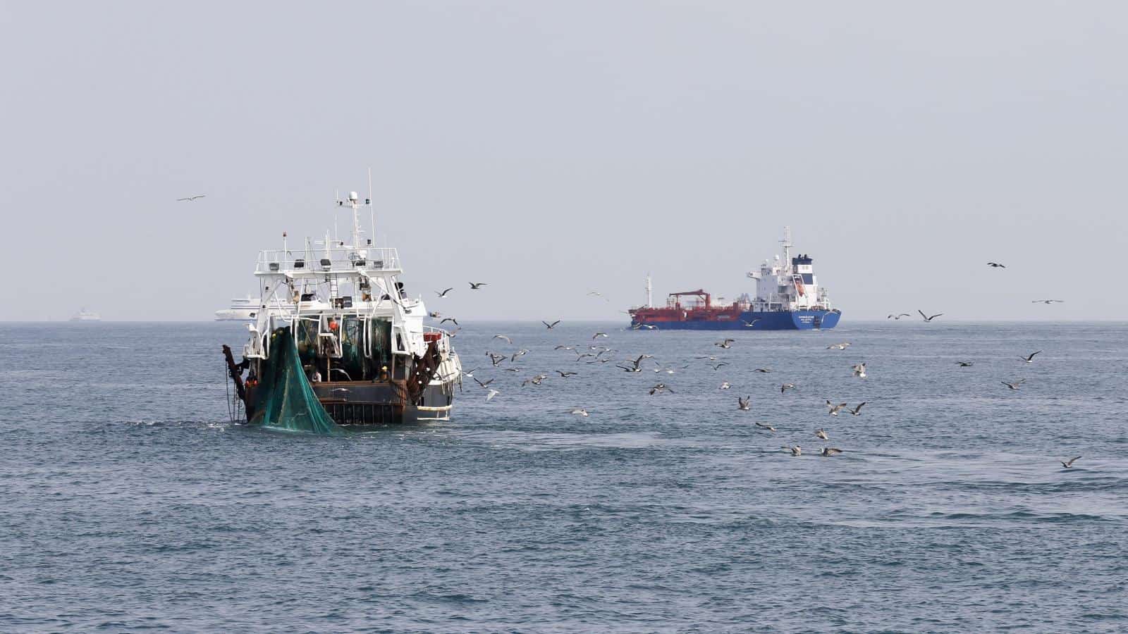 ممنوعیت صید ماهی شیر در خلیج فارس و دریای عمان