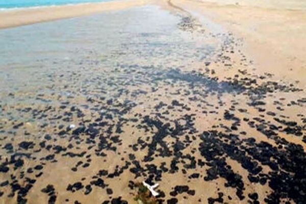 آلودگی نفتی در ساحل بندر دیلم