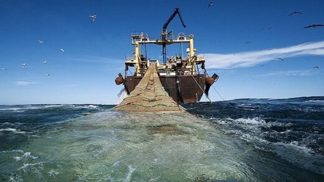 گلایه صیادان شناورهای صید صنعتی فانوس ماهیان به توقف کامل صید ترال