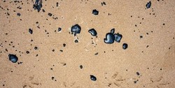 آلودگی نفتی ساحل مقسا در جاسک جمع‌آوری شد