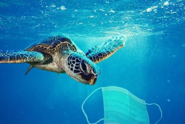 ۷۵ درصد از زباله‌های کرونایی بر آب‌های آزاد شناورند