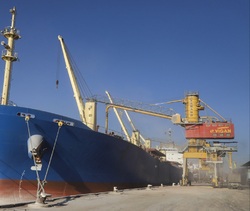 ابتلای ۲ سرنشین برزیلی یک کشتی به کرونا در بندر امام
