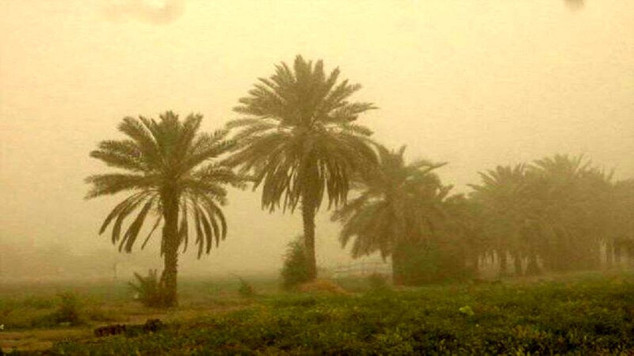 هوای شهر بندری ماهشهر در وضعیت پاک و سبز