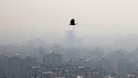 تداوم هوای آلوده در سه شهر ساحلی خوزستان/هشدار سطح زرد