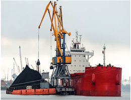 Dry bulk: Why the Year of the Dog can Wag its Tail