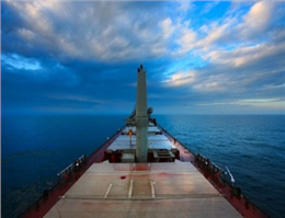 Taiwan Navigation looks to bulk fleet expansion