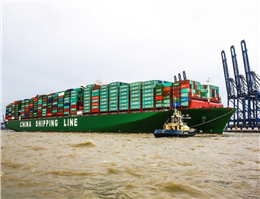 Newbuilds Could Push Idle Containership Fleet to 1m Teu