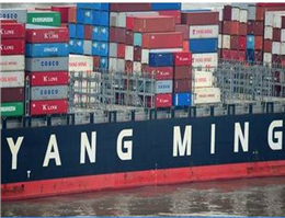 Yang Ming to add New service