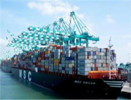 MSC, CMA CGM Back New Container Tracking System