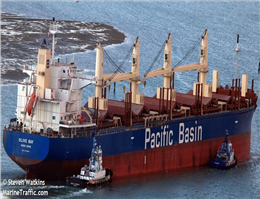 Pacific Basin Expand its Fleet 