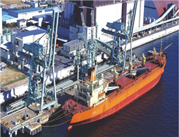 Dry Bulk Trade Growth to Outweigh Fleet Expansion
