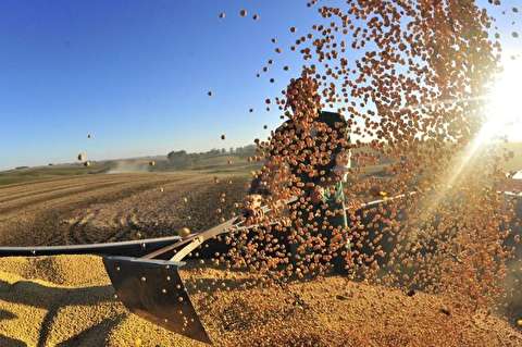 US soya bean exports to China are down by 97%