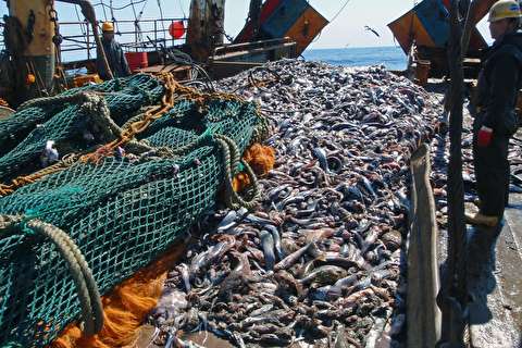 Fisheries Subsidies in Major Non-EU Fishing Nations