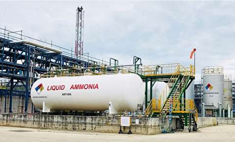Should shipowners be investing in zero-carbon fuel production