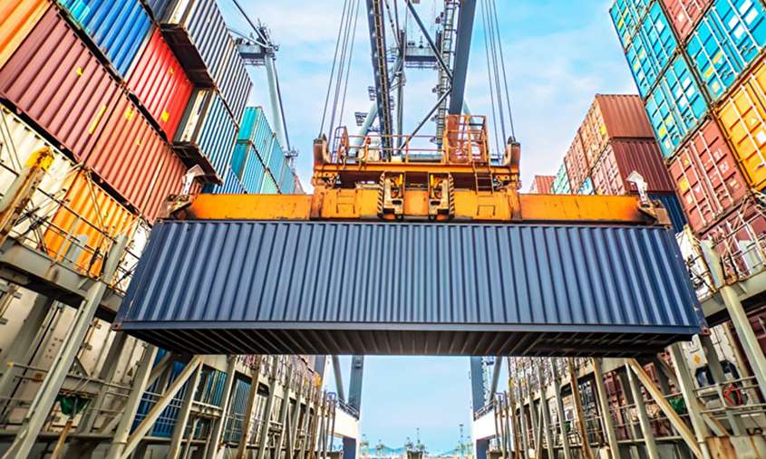 Box lines set to shrug off negative impact of pandemic