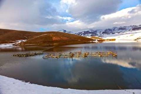 مرکز تکثیر ماهی قزل آلای آب اسکان اراک (اس پی اف)