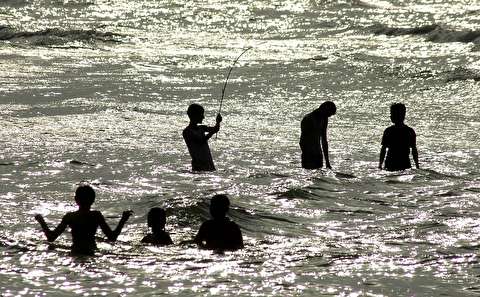 9 طرح پایلوت شنا در گیلان راه اندازی می شود
