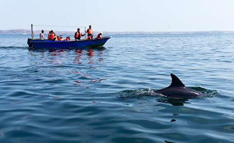 فعالیت 300 قایق تفریحی در مسیر قشم – هنگام