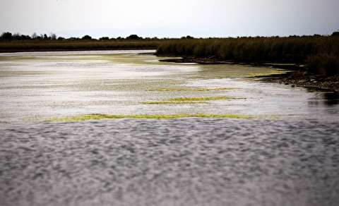 خلیج گرگان ثبت جهانی می شود