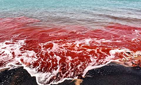 پرونده ثبت جهانی جزیره هرمز آماده شد