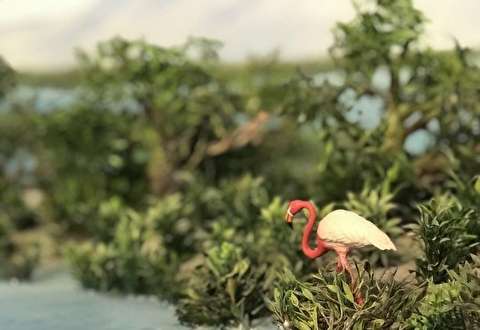 احداث تماشاگه حرا در قشم