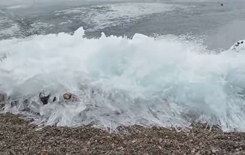 تماشای این فیلم را از دست ندهید