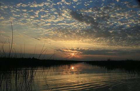 رونق گردشگری تالاب شادگان با شروع فصل سرما