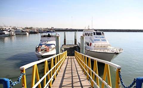 بندر‌های مسافری و گردشگری قشم تعطیل است