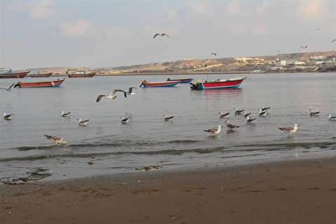 ساخت موزه در سواحل مکران طی برنامه ششم توسعه