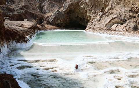 پروژه پرورش میگو در نزدیکی سایت نمکدان قشم متوقف شد