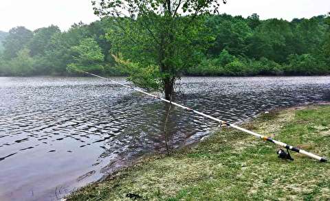 پیش بینی افزایش ۳۰ درصدی گردشگری گیلان در نوروز ۹۹
