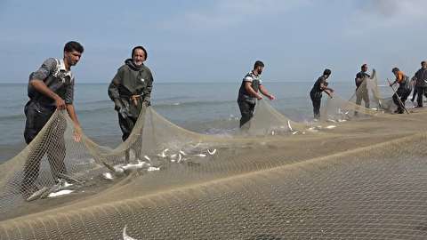 دریای خزر تا پنجشنبه آرام است
