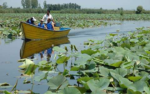 تالاب انزلی به پروژه ملی گردشگری تبدیل می شود
