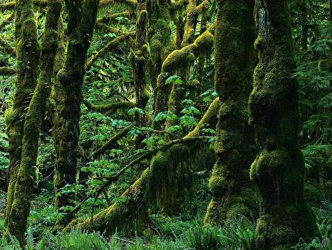 پیشنهاد تغییر نام استان گلستان به نام باستانی اش 