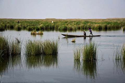 ضرورت ایجاد زیرساخت‌ها برای توسعه گردشگری در تالاب شادگان