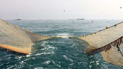 نیروی دریایی سپاه ۷ کشتی ترال را در خلیج فارس توقیف کرد