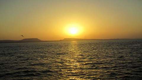 آغاز به کار هتل بین المللی خلیج فارس از دی ماه