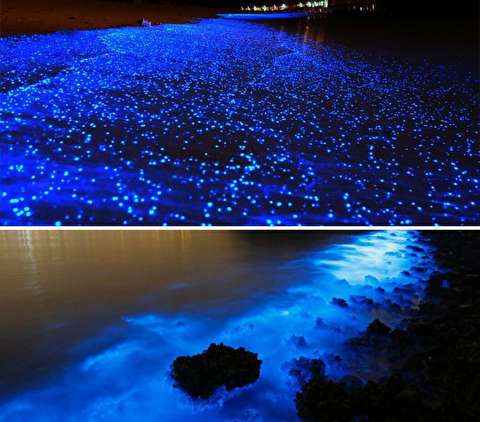 سواحل شب‌تاب چابهار در پاییز و زمستان