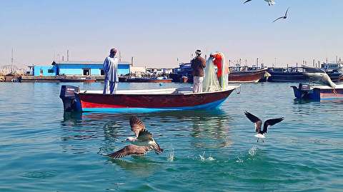 سهمیه بنزین قایق‌های صیادی تعیین شد