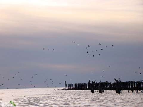 مسدود شدن مسیر‌های دسترسی به سواحل گلستان و جزیره آشوراده