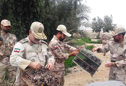 توقیف محموله پرندگان زینتی در اروندرود