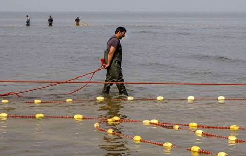 شرایط مساعد دریا برای صیادان گیلانی