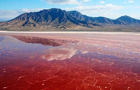 جنگل‌های حرا و تالاب صورتی در خلیج گواتر ثبت جهانی می‌شوند