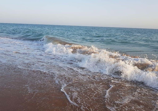 آب‌های شمالی خلیج فارس مواج می‌شود
